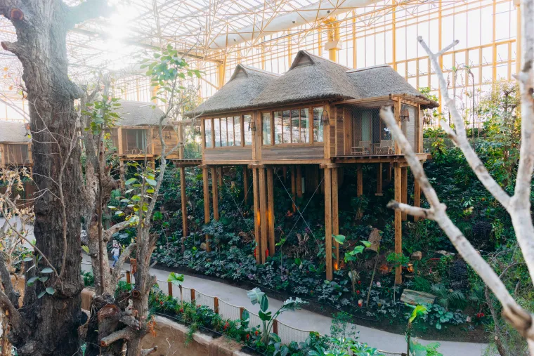 Vue de l'intérieur Edenya Pairi Daiza Dherte