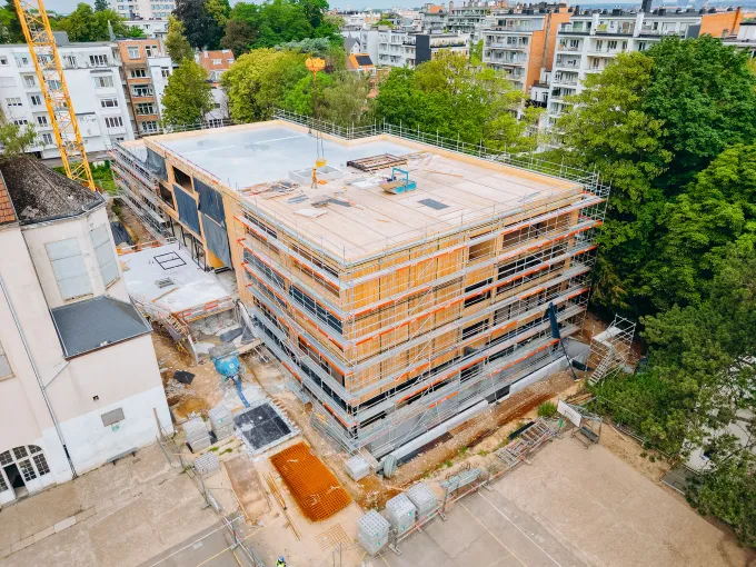 Uccle Immi