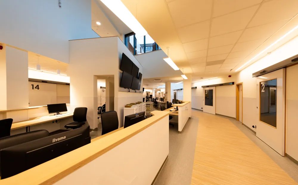 The healthcare sector