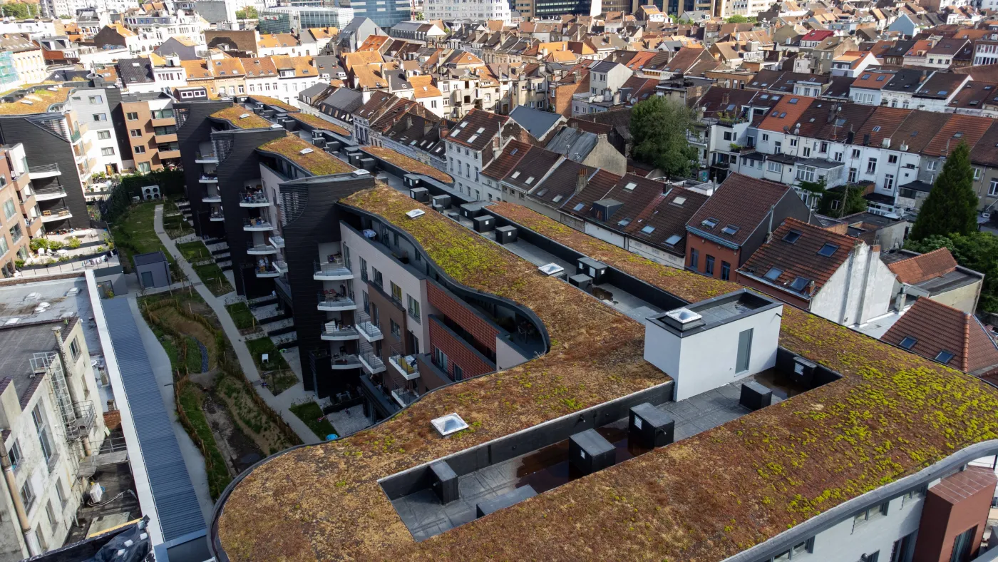 Anderlecht Immotriangle