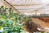 Sanctuary - Edenya Pairi Daiza