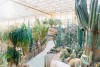 Vue de l'intérieur Edenya Pairi Daiza Dherte